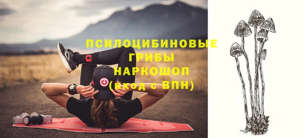 кокс Михайловск