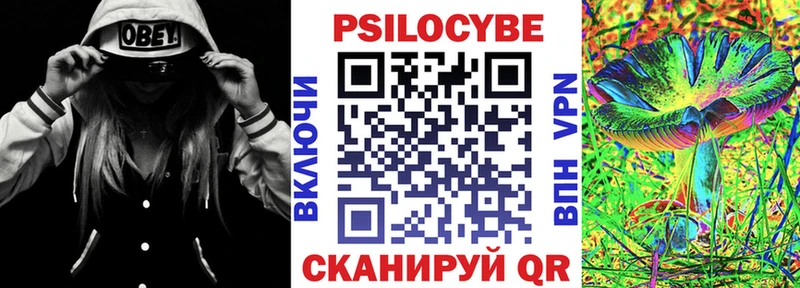 купить  цена  Джанкой  МЕГА tor  Галлюциногенные грибы Psilocybe 