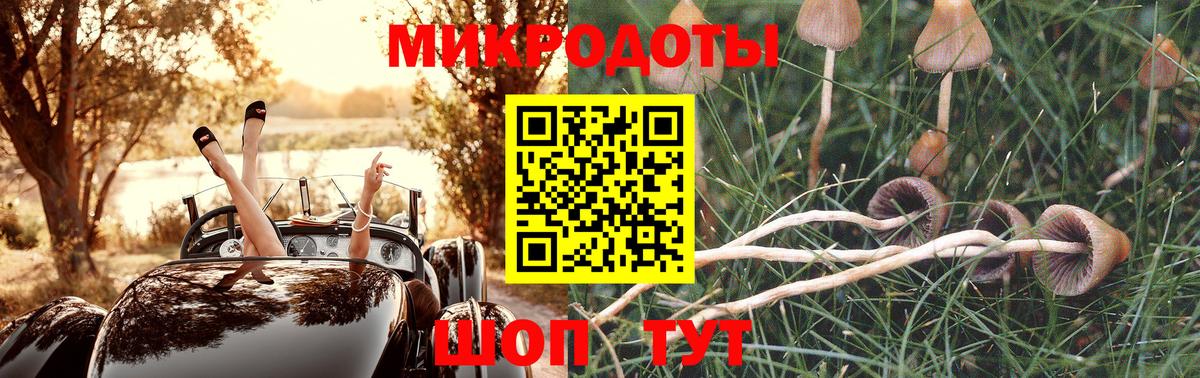 Галлюциногенные грибы Psilocybe Джанкой