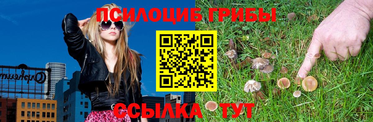 Псилоцибиновые грибы мицелий  Джанкой  Псилоцибиновые грибы прущие грибы 