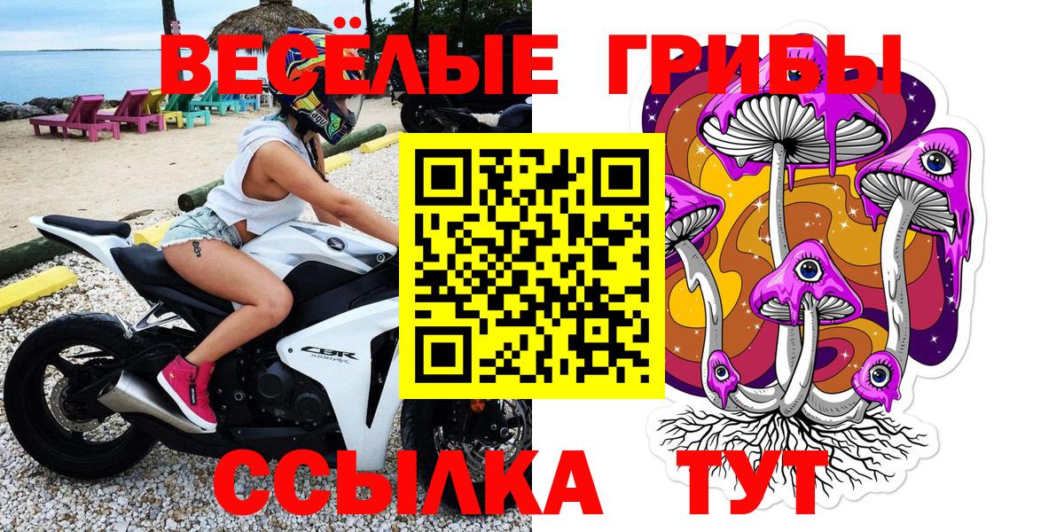 Псилоцибиновые грибы Cubensis Джанкой