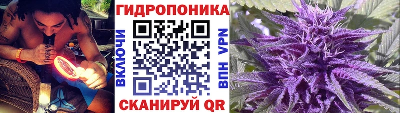 Канабис OG Kush  хочу   Джанкой 
